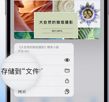 昆山apple维修中心分享iPhone文件应用中存储和找到下载文件