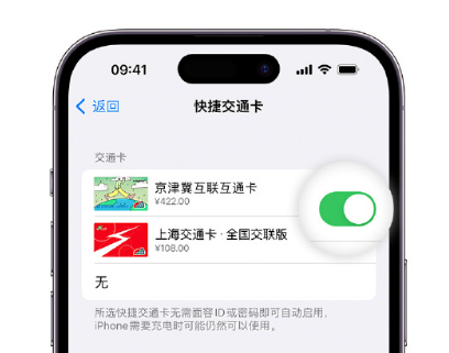 昆山apple维修点分享iPhone上更换Apple Pay快捷交通卡手绘卡面 