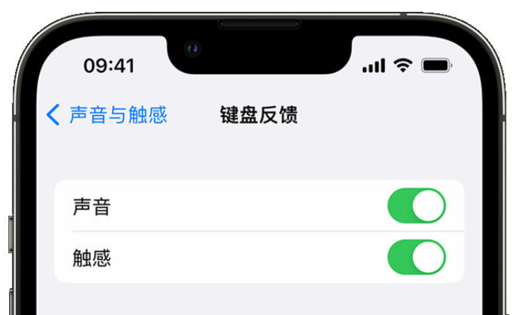 昆山苹果手机维修分享iPhone 14触感键盘使用方法 