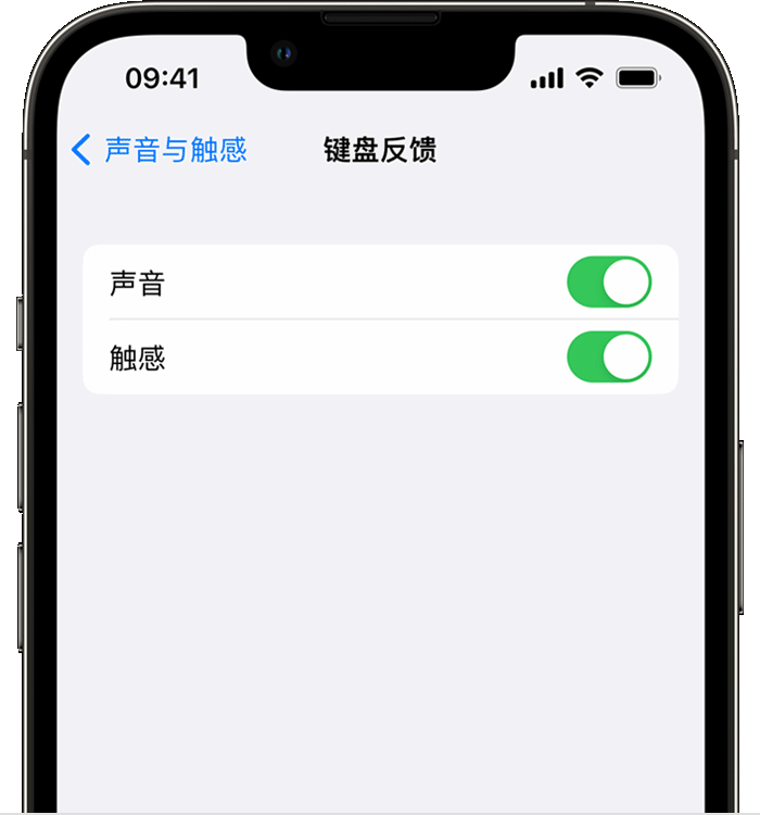 昆山苹果14维修店分享如何在 iPhone 14 机型中使用触感键盘 