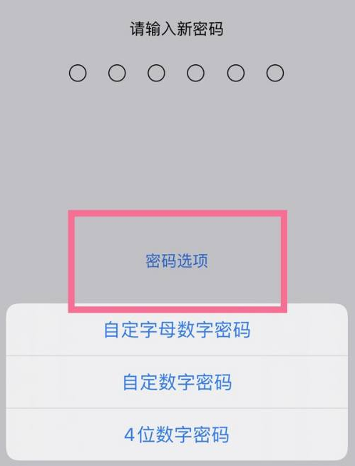 昆山苹果14维修分享iPhone 14plus设置密码的方法 