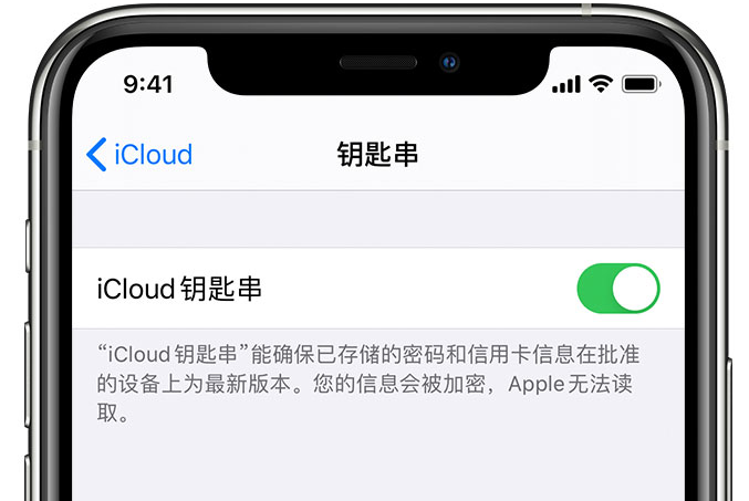 昆山苹果手机维修分享在 iPhone 上开启 iCloud 钥匙串之后会储存哪些信息 