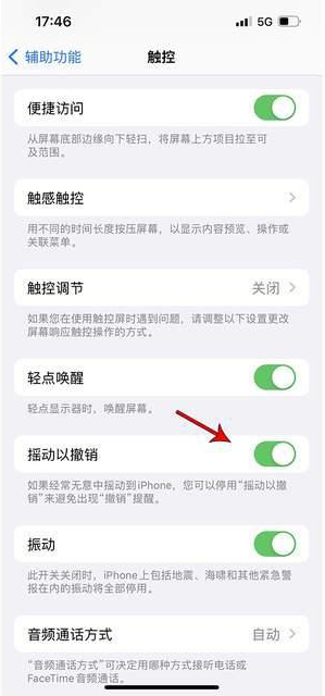 昆山苹果手机维修分享iPhone手机如何设置摇一摇删除文字 