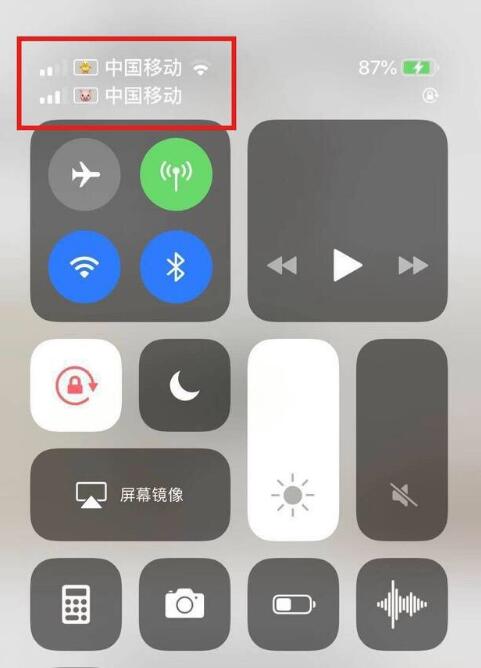 昆山苹果手机维修分享为 iPhone 12 双卡设置标签 